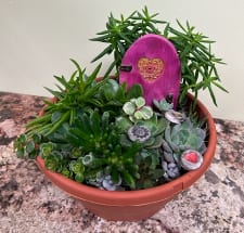 Whimsical plush succulent bowls with handmade pottery fair door and stepping stones